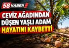 Sivas’ta Ceviz Ağacından Düşen 70 Yaşındaki Adam Hayatını Kaybetti