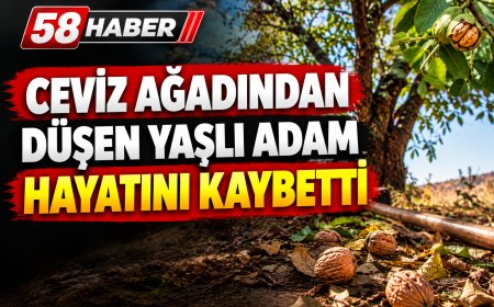 Sivas’ta Ceviz Ağacından Düşen 70 Yaşındaki Adam Hayatını Kaybetti