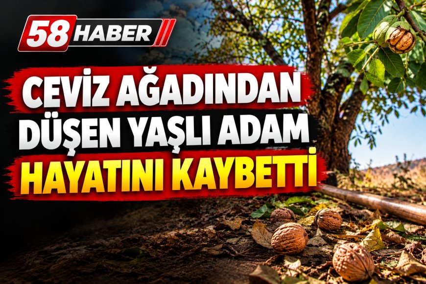Sivas’ta Ceviz Ağacından Düşen 70 Yaşındaki Adam Hayatını Kaybetti